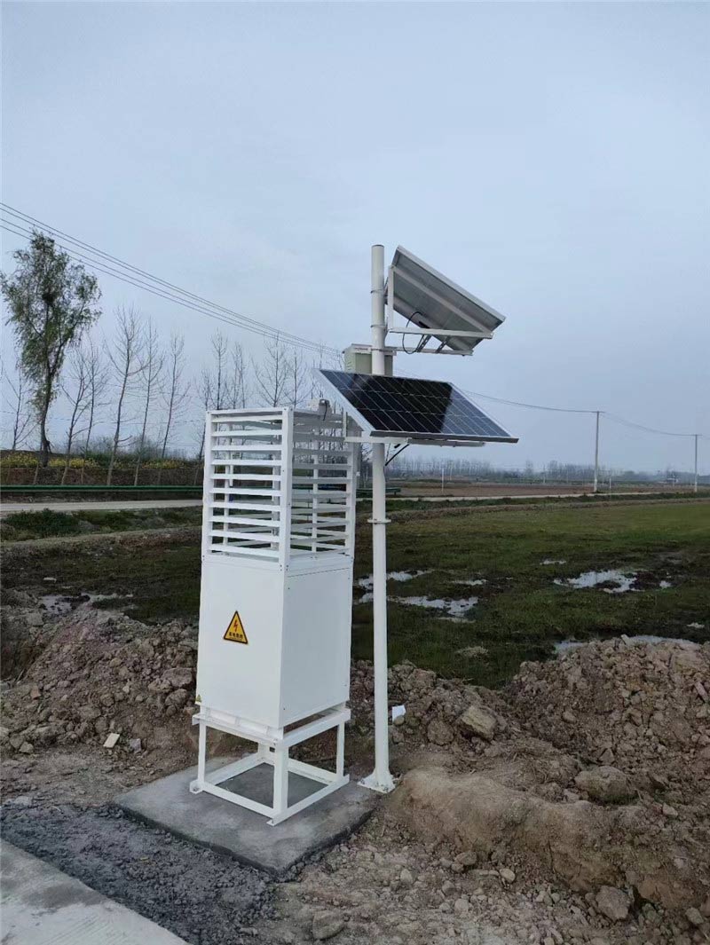 蟲情監(jiān)測 (2).jpg